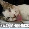 wong.pero.b.aj