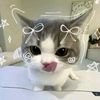 bintangggg_0837