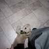 minari_tuais14