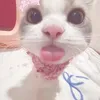sharnixe4