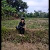 s269414906534032