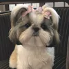 minh280609
