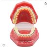 girljaw