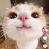 mi.hi314