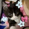 lov3ffhsva3