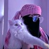 arohi_._yasmin21