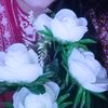 rusachaudhary4