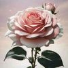 md.raju.khan5466