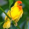 icon_special7