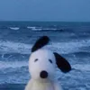 pylamigggggg_