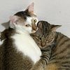 Leo & Tammy