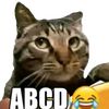 fanzabcd21