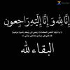 user5395727768553
