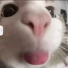 lavinia_uy03
