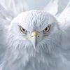 armyforcer54