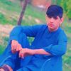 bashirbashir3503