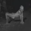 vivissuperduperprivata