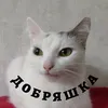 _dobrashka_