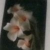 is.nawati7