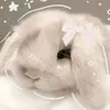 luvz_sincertyx