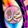 abdel.hamid51