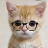 cocohamster7