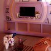nair_toshzy