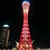 user1919618494105
