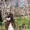 .blossomstvrlight
