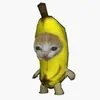 catstoryvideos