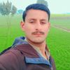 amarsial75