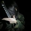 killthecreator