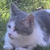 karzenmama_12