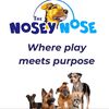 the_nosey_nose2