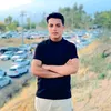 rebin_adnan1