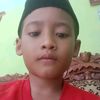 mirza8273h
