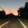 natureguy242