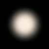 viva_la_vida_070
