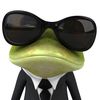 mr.pepe007
