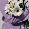 samira.alyy