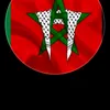 driss.lamnaouar1