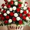 user3234101237086
