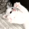 mimimixm