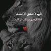 user29935127074040