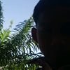 hall_skuy