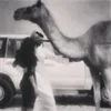 rawaa.154