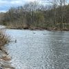 tffishing51