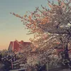jxst_alisa11