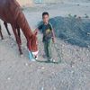 user78174814400768