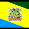 honduran_sugar_baby0102